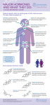 Major HorMones and WHat tHey do