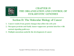 Section D: The Molecular Biology of Cancer