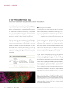 FISH or CISH methods for In situ hybridization