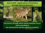 Parallel Evolution = when species develop from common ancestor