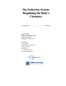 The Endocrine System: Regulating the Body`s