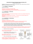 Notes Questions for the Unit 13, Part 2 Notes: Timing and