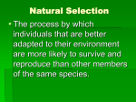 natural_selectionppt