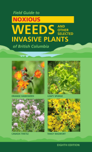 INVASIVE PLANTS - Invasive Species Council of BC