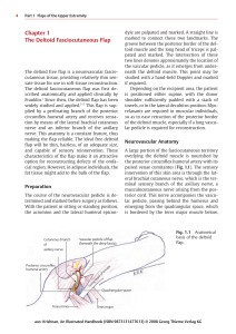 Thieme: An Illustrated Handbook of Flap