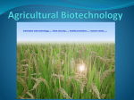 Agricultural Biotechnology