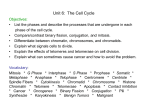 Advanced Biology\AB U6 Cell Cyle Mitosis