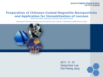 Preparation of Chitosan-Coated Magnetite Nanoparticles and