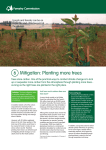 Mitigation: Planting more trees