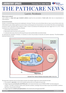 lactic acid ENG.cdr