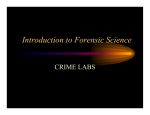 First Crime Lab - Golden Lady Unlimited, LLC