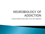 Donna Masterson, Neurobiology of Addiction