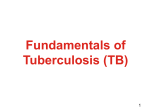 TB - Global Tuberculosis Institute