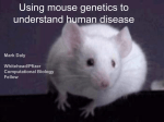 Using mouse genetics to understand human disease