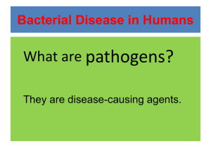 Bacterial Disease in Humans