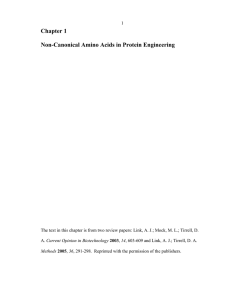 Chapter 1 Non-Canonical Amino Acids in Protein Engineering