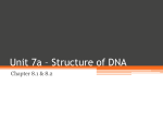 Unit 7a * Structure of DNA