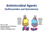 Antimicrobial Agents (Sulfonamides and Quinolones 1 )