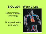 BIOL 204 – Week 5 Lab