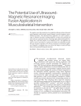 The Potential Use of Ultrasound-Magnetic Resonance Imaging