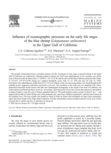 Influence of oceanographic processes on the early life stages of the