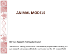Animal models HIV Cure Research Training Curriculum