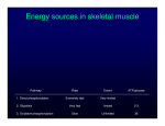 Energy sources in skeletal muscle