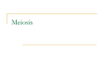 Meiosis