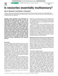 Is neocortex essentially multisensory?