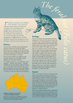 The Feral Cat (Felis catus)