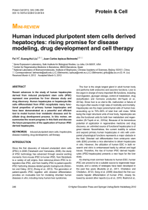 Human induced pluripotent stem cells derived hepatocytes: rising