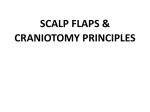 Craniotomy principles