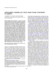 hippocampo–cerebellar theta band phase synchrony in rabbits