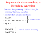Query sequence