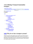 A-level Biology   | Transport