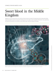 Sweet blood in the Middle Kingdom