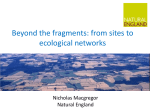 Beyond the fragments: from sites to ecological networks