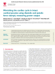 Mimicking the cardiac cycle in intact cardiomyocytes using