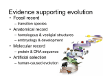 Evidence for NaturalSelection[1]
