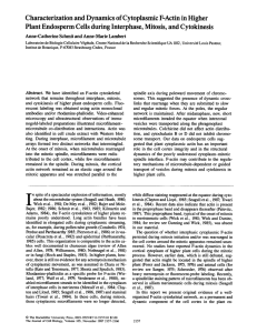 Characterization and Dynamics of Cytoplasmic F