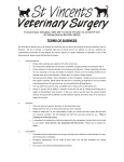 St Vincents Veterinary Surgery