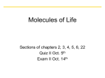 Hydrogen Bonds