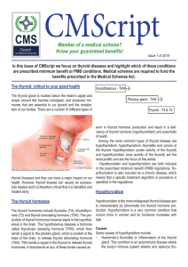 The thyroid