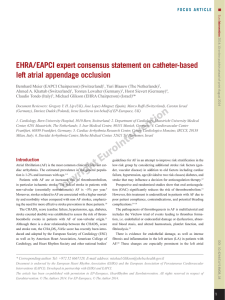 EHRA/EAPCI expert consensus statement on catheter