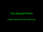 The Abyssal Plains