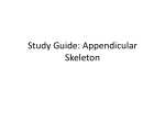 Study Guide: Appendicular Skeleton