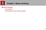 Chapter 1 - Center for Advanced Brain Imaging