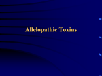 Allelopathic Toxins and the Black Walnut (Juglans nigra)