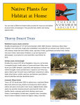 list of native plants - Tucson Audubon Society