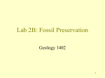 Lab 4: Fossil Preservation